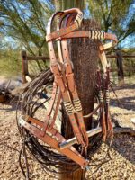 Rawhide with Turquoise Studs- Sliding One Ear Headstall