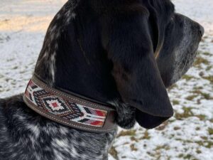 leather dog collar for sale 2