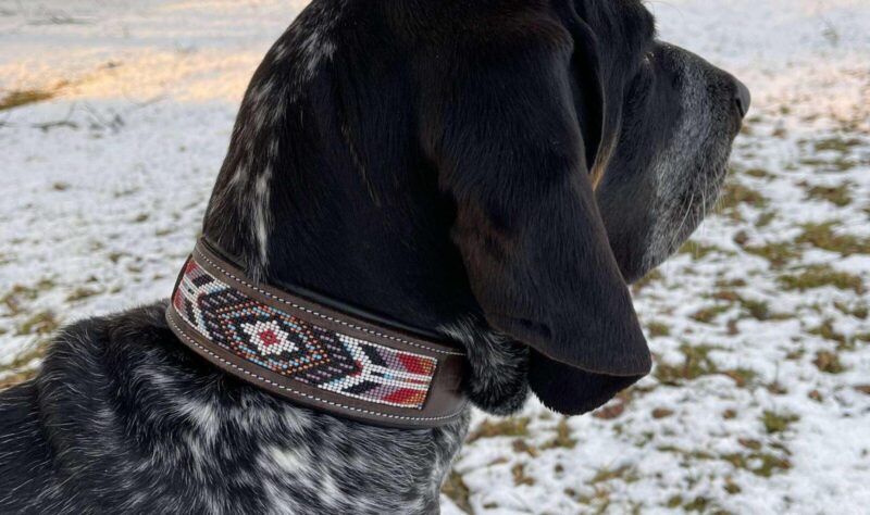 leather dog collar for sale 2