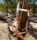 perfect rawhide headstall (6)