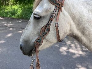 A light gray horse, sporting a detailed Turquoise Breeze- Hand Tooled/Painted- Sliding One Ear Headstall with intricate turquoise and brown designs, stands on a paved path with greenery in the background. Sunlight and shadow dapple the scene, creating a peaceful outdoor setting.