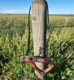 Beaded Tiedown Noseband