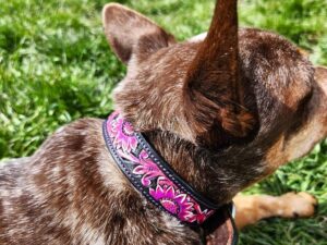 1 pink sunflower dog collar leather pink dog collars western leather dog collar