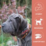 A side profile of a Shar Pei dog wearing a Leather Dog Collar- Pink Painted Sunflower- Tooled. The background is a garden with red foliage. On the right, icons highlight the collar's features: "Sturdy", "Wearable", and "Comfortable" with respective illustrations above each word, adding a touch of sunflower charm.