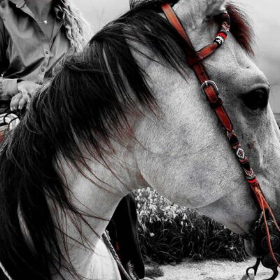 Leather Beaded Headstalls for sale