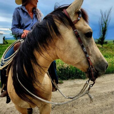 Ranch Hand Western Headstalls One Ear Browband Soft Leather Beaded (2)