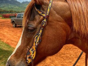 Sunflower Hand painted one ear quarter horse western headstall bridle english horse tack Thumbnail