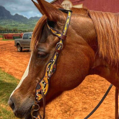 Sunflower Hand painted one ear quarter horse western headstall bridle english horse tack Thumbnail