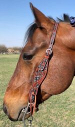 A close-up of a brown horse's head in a grassy field with a blue sky background. The horse is wearing a Turquoise Breeze- Hand Tooled/Painted- Browband Headstall. The horse's eyes are half-closed, giving a peaceful appearance.