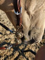 Buffalo Hide LEather Headstall Western RAnchy Cowboy Ranch One Ear Split Ear Simple Plain for sale