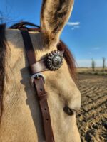 Buffalo Hide LEather Headstall Western RAnchy Cowboy Ranch One Ear Split Ear Simple Plain for sale