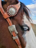 Show Headstalls One Ear Sterling Silver (4)