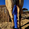 Tail Bags for horse horse tail bags grooming kit mane and tai lcare horse grooming western tail bags lycra tail bags ranch hand (2)