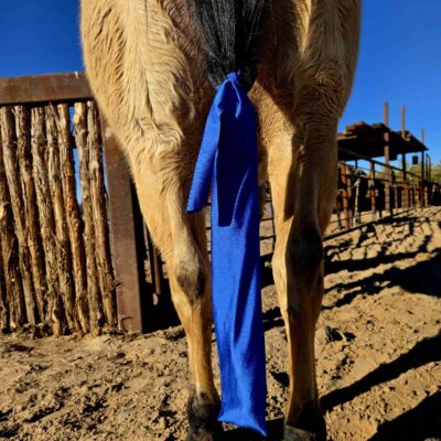 Premium Lycra Tail Bags for Horses - Durable, Stretchable Tail Protection