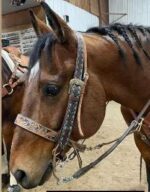 Turquoise Buckstitch Leather headstall