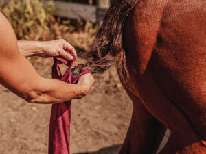 ranch hand tail bags horse grooming