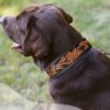 Leather Dog collars Headstalls LEather western bags (2)