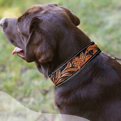 Leather Dog collars Headstalls LEather western bags (2)