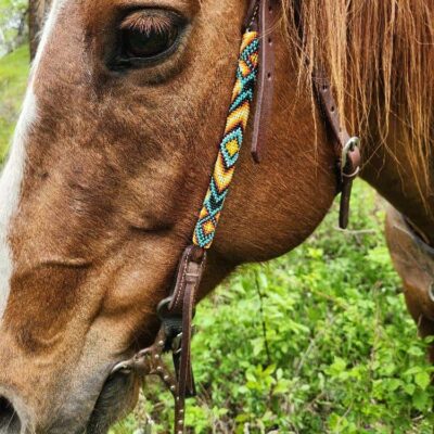 beaded headstall ranch hand