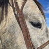 Belt Style Split Ear Headstall - Destry - view 8