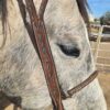 Belt Style Split Ear Headstall - Destry - view 9