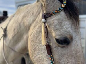 Close-up of a light brown horse's head adorned with a colorful, Fire & Ice - Beaded - Futurity Knot Browband Headstall. The horse has a calm expression, with its mane partially visible. In the background, a blurred figure and a building or structure can be seen. The sky appears partly cloudy.