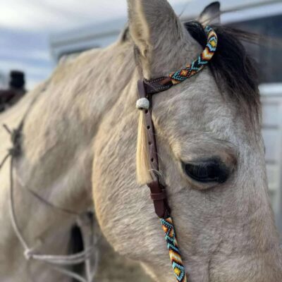 Close-up of a light brown horse's head adorned with a colorful, Fire & Ice - Beaded - Futurity Knot Browband Headstall. The horse has a calm expression, with its mane partially visible. In the background, a blurred figure and a building or structure can be seen. The sky appears partly cloudy.