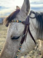 A close-up of a horse's head wearing a Fire & Ice - Beaded - Futurity Knot Browband Headstall adorned with colorful decorations. The horse has a light coat and dark mane. The background is an outdoor setting with a soft-focus view of dry grass and a cloudy sky.