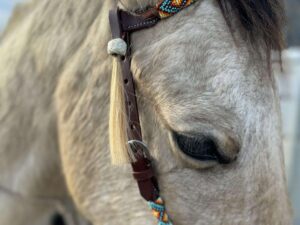 Close-up of a horse's head wearing a Fire & Ice - Beaded - Futurity Knot Browband Headstall. The headstall features intricate geometric patterns in orange, blue, white, and yellow. The horse's fur is light brown and it has a calm expression. The background is blurred, focusing on the horse's profile.