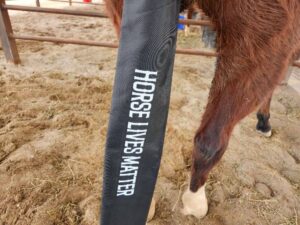 Funny tail bags horses tail socks