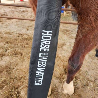 Funny tail bags horses tail socks