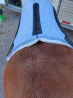 Felt Wool Saddle Pad Fleece Lining ropers Pad Wither Cutout 14 1