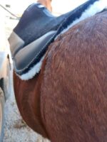 Felt Wool Saddle Pad Fleece Lining ropers Pad Wither Cutout 9 1