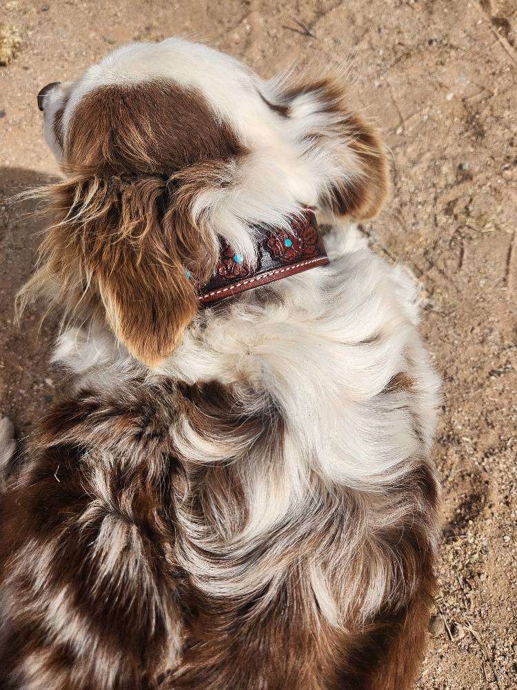 Leather Leash- Turquoise Center- Hand Painted & Tooled