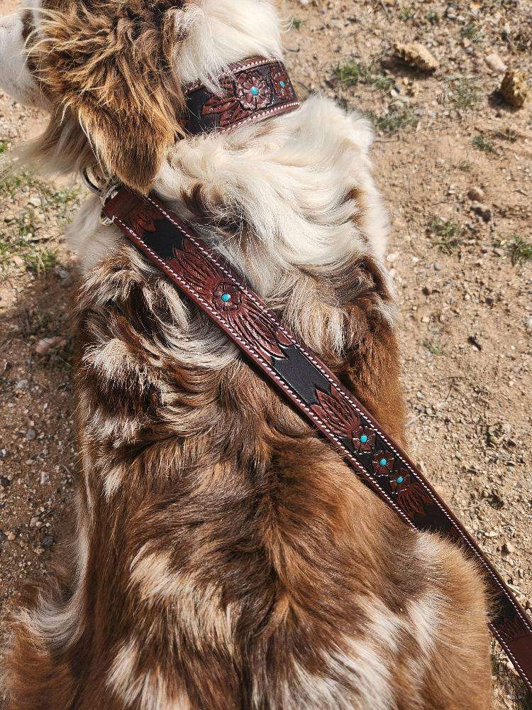 Leather Working Dog Collar, Dog Collars Australia