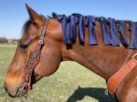 Western horse tack bridle headstall mane bags dog collars leather cowboy shit custom leather bags rodeo prizes (6)