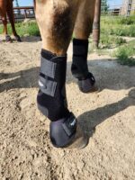 A Splint Boots for sale. Tendon boots. horse legprotection (16)