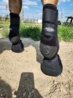 A Splint Boots for sale. Tendon boots. horse legprotection (23)