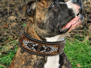 Leather Beaded Dog Collars Western RAnch Dog Sturdy Comfortable Sensitive skin dog collars (11)