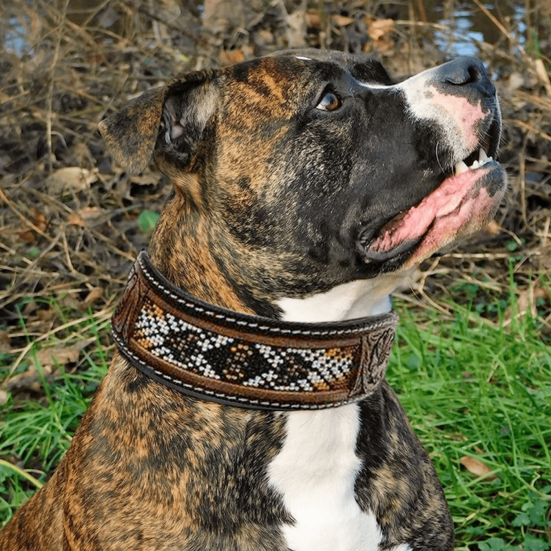 Leather Beaded Dog Collars Western RAnch Dog Sturdy Comfortable Sensitive skin dog collars (11)