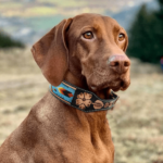 Leather Beaded Dog Collars Western RAnch Dog Sturdy Comfortable Sensitive skin dog collars (4)