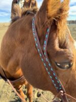 A close-up shot of a horse's head with brown fur and a white marking near the eye. The horse is wearing a Turquoise Buckstitch- Belt Style Split Ear Headstall adorned with turquoise beads. The background shows an outdoor sandy area under a bright, slightly cloudy sky.