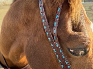 A close-up shot of a horse's head with brown fur and a white marking near the eye. The horse is wearing a Turquoise Buckstitch- Belt Style Split Ear Headstall adorned with turquoise beads. The background shows an outdoor sandy area under a bright, slightly cloudy sky.