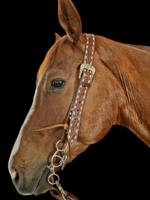 Western split ear headstall buckstitch rawhide leather bridle (1)