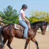 White Buckstitch Leather Headstall Belt Style Bridle 2