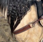 Close-up of a horse's mane, featuring long, wavy black hair. The horse's skin is light brown and there's a part of a Turquoise Buckstitch- Breast Collar visible. The background is slightly blurred but appears to be an outdoor setting.