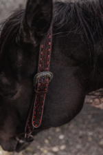 red buckstitch split ear dark leather ranch hand