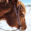 white buckstitch headstall belt style split ear western bridle