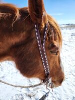 white buckstitch headstall belt style split ear western bridle