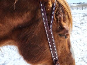 white buckstitch headstall belt style split ear western bridle